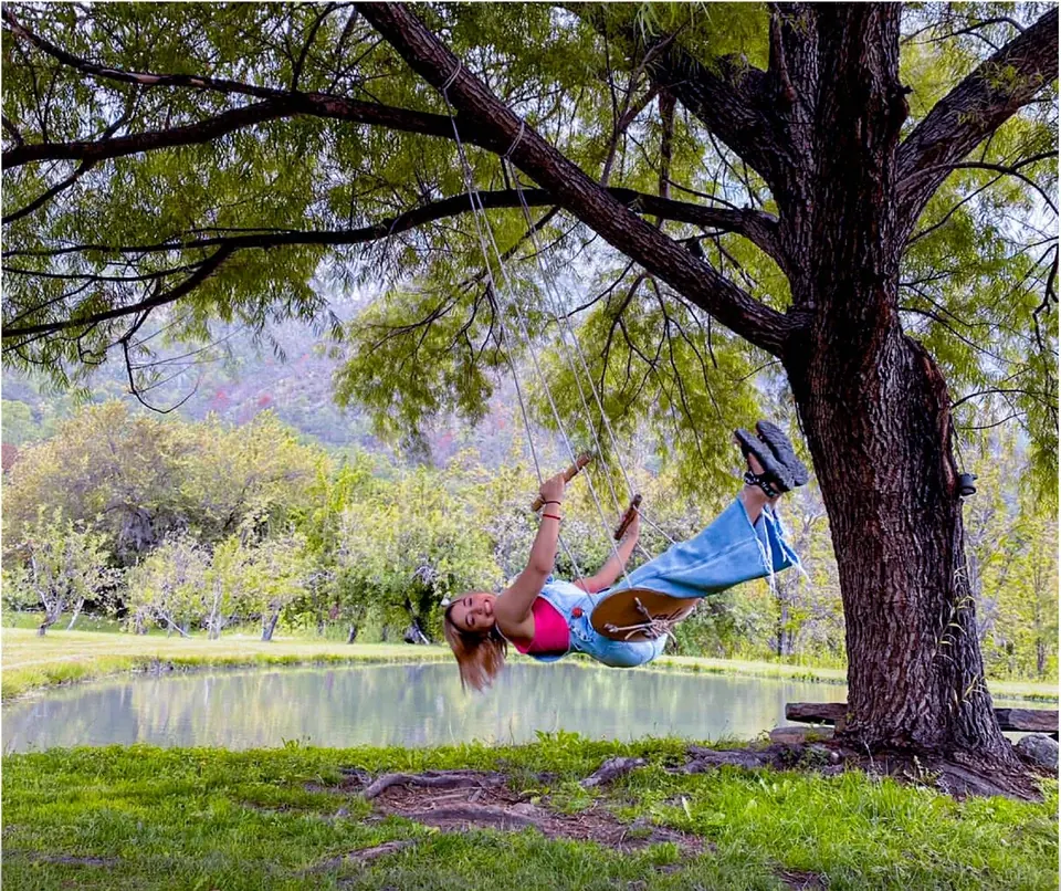 Columpio de madera colgado de un árbol junto al lago en Finca Los Lagos